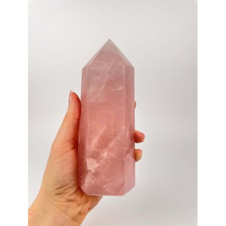 Ruženín špic 8.